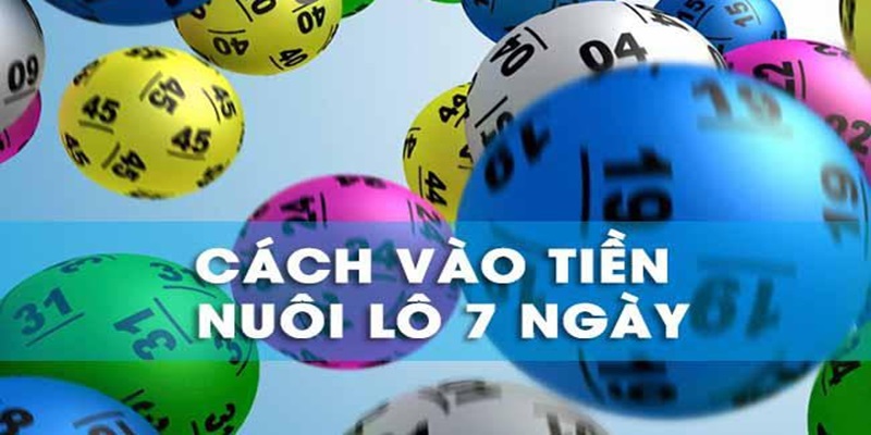 Nuôi Lô 7 Ngày – Bật Mí Kinh Nghiệm Đầu Tư Hiệu Quả - hình ảnh - mcktyyhywz.top Nuôi Lô 7 Ngày – Bật Mí Kinh Nghiệm Đầu Tư Hiệu Quả - hình ảnh - mcktyyhywz.top