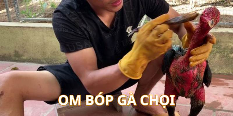 Cách Nuôi Gà Chọi Chuẩn Từ Cao Thủ – Cẩm Nang Mới Nhất - hình ảnh - mcktyyhywz.top