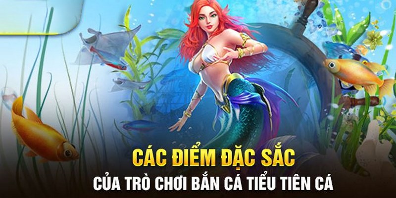 Bắn Cá Tiểu Tiên Cá: Hướng Dẫn Chơi, Mẹo Và Chiến Thuật - hình ảnh - mcktyyhywz.top Bắn Cá Tiểu Tiên Cá: Hướng Dẫn Chơi, Mẹo Và Chiến Thuật - hình ảnh - mcktyyhywz.top
