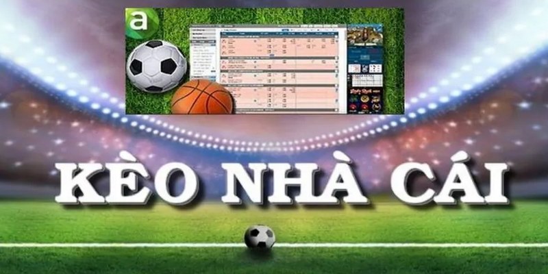 Kèo Nhà Cái – Nắm Bắt Cơ Hội, Nhận Ngay Thưởng Khủng - hình ảnh - mcktyyhywz.top Kèo Nhà Cái – Nắm Bắt Cơ Hội, Nhận Ngay Thưởng Khủng - hình ảnh - mcktyyhywz.top
