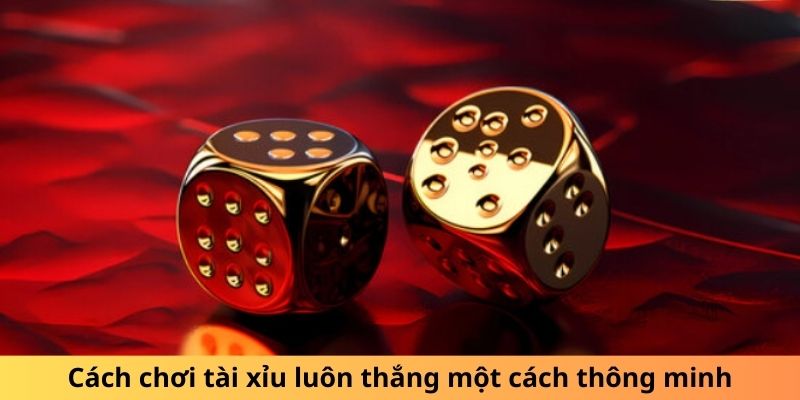 Cách Chơi Tài Xỉu Luôn Thắng – Cẩm Nang Newbie Toàn Tập - hình ảnh - mcktyyhywz.top Cách Chơi Tài Xỉu Luôn Thắng – Cẩm Nang Newbie Toàn Tập - hình ảnh - mcktyyhywz.top