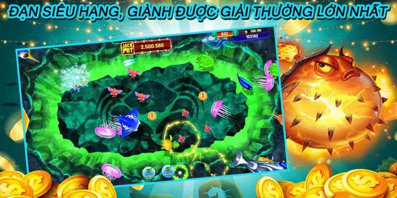 TP Bắn Cá Nhị Gia – Bật Mí 3 Cách Săn Cá Nhị Gia Bất Bại - hình ảnh - mcktyyhywz.top