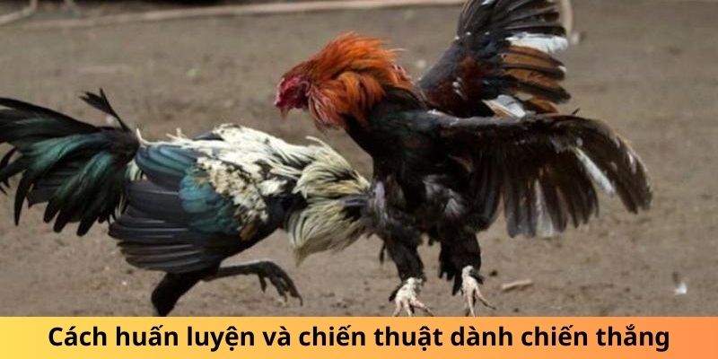 Gà Chuối Là Gì? Sự Thật Thú Vị Về Loài Gà Độc Đáo - hình ảnh - mcktyyhywz.top Gà Chuối Là Gì? Sự Thật Thú Vị Về Loài Gà Độc Đáo - hình ảnh - mcktyyhywz.top