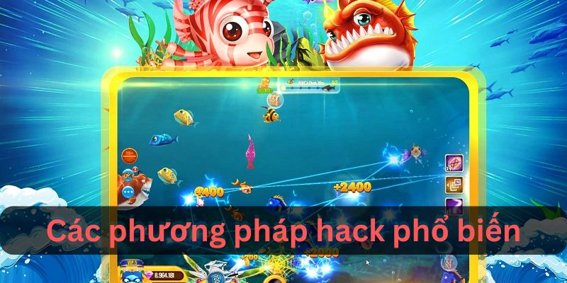 Hack Game Bắn Cá: Những Điều Bạn Cần Biết Trước Khi Sử Dụng - hình ảnh - mcktyyhywz.top