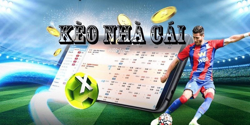 Thể Thao Hi88 - Hi88 - hình ảnh - mcktyyhywz.top Thể Thao Hi88 - Hi88 - hình ảnh - mcktyyhywz.top