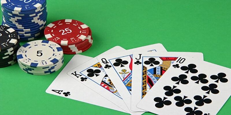 Casino Hi88 - Hi88 - hình ảnh - mcktyyhywz.top Casino Hi88 - Hi88 - hình ảnh - mcktyyhywz.top