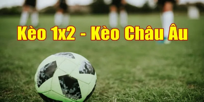 Kèo Nhà Cái – Nắm Bắt Cơ Hội, Nhận Ngay Thưởng Khủng - hình ảnh - mcktyyhywz.top Kèo Nhà Cái – Nắm Bắt Cơ Hội, Nhận Ngay Thưởng Khủng - hình ảnh - mcktyyhywz.top