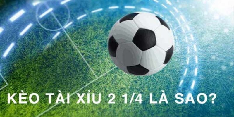 Thể Thao Hi88 - Hi88 - hình ảnh - mcktyyhywz.top Thể Thao Hi88 - Hi88 - hình ảnh - mcktyyhywz.top