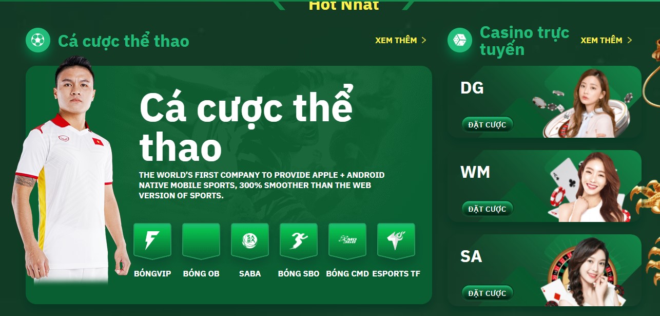 Bongvip – Tổng hợp thế mạnh và link mới nhất cho dân cược - hình ảnh - mcktyyhywz.top Bongvip – Tổng hợp thế mạnh và link mới nhất cho dân cược - hình ảnh - mcktyyhywz.top