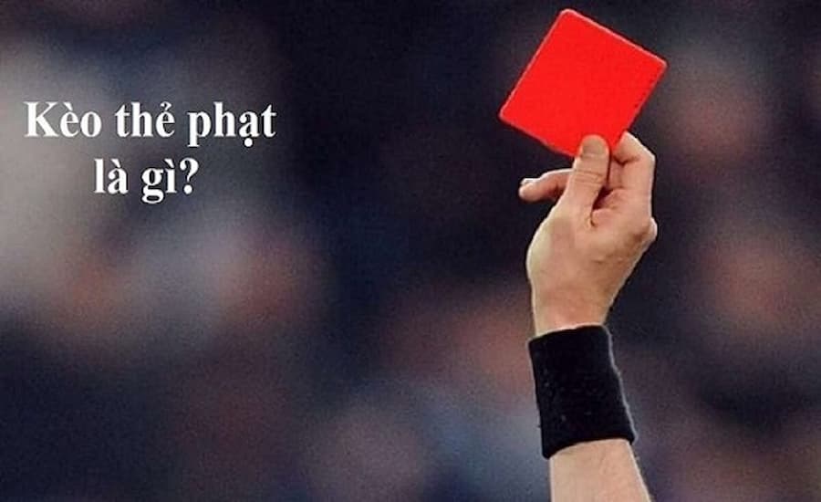 Thể Thao Hi88 - Hi88 - hình ảnh - mcktyyhywz.top Thể Thao Hi88 - Hi88 - hình ảnh - mcktyyhywz.top