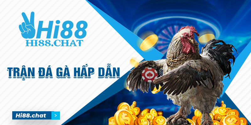 Giải Mã Sức Hút Khó Cưỡng Lại Của Đá Gà Trực Tuyến Cựa Dao - hình ảnh - mcktyyhywz.top Giải Mã Sức Hút Khó Cưỡng Lại Của Đá Gà Trực Tuyến Cựa Dao - hình ảnh - mcktyyhywz.top