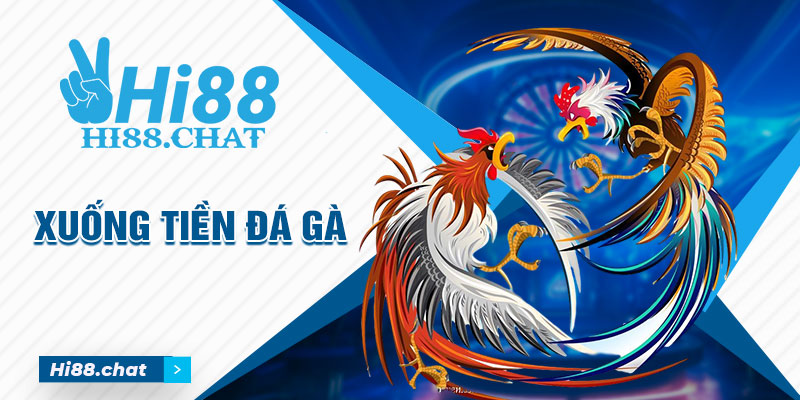 Đá Gà Hi88 - Hi88 - hình ảnh - mcktyyhywz.top